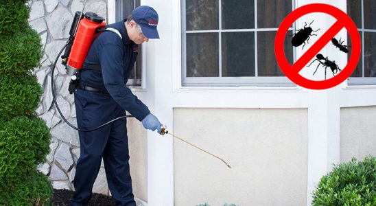 Yurdoğlu Bit İlaçlama böcek ilaçlama ve haşere kontrolü — ilaclama-tr.com